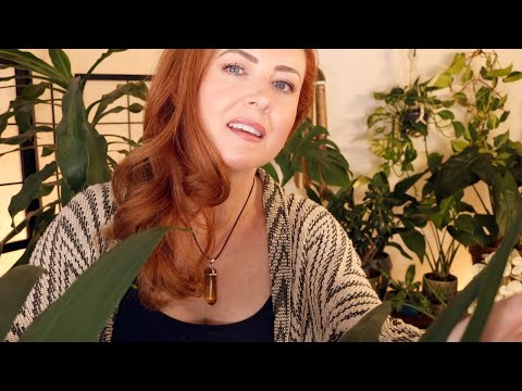 You are a PLANT 🪴 ASMR Houseplant Rescue Retreat 🪴 Inspection, Spraying, Deep Cleansing, Soil Sounds