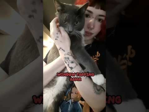 Window Tapping ASMR