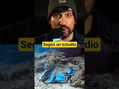 ⚠️ HAY ALIENS EN EL MAR ⚠️