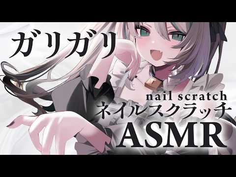 【🔴ASMR #KU100】ネイルスクラッチASMR｜nail scratch & Whisper【 #雪豹メイドお給仕中 】