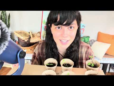 ASMR~ Reading Peakaboo Farm Baby Book to Help My Plants Grow 𖧧