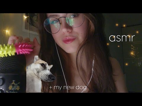 Быстрый, комфорт асмр // Звуки р:та и рук, скрэтчинг, микро и др 🫶🏻