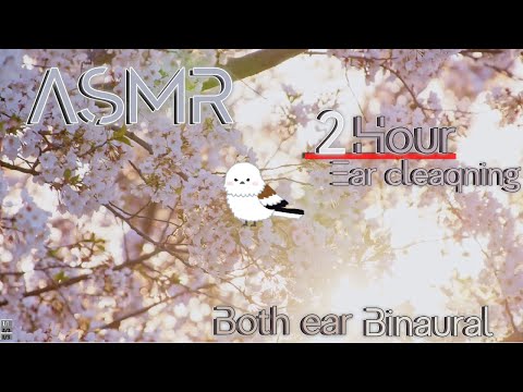 【ASMR/Ear Cleaning/Binaural】反対側の耳が詰まっているかのように錯覚する耳かき2時間【片耳版/耳かき/イヤホン必須】