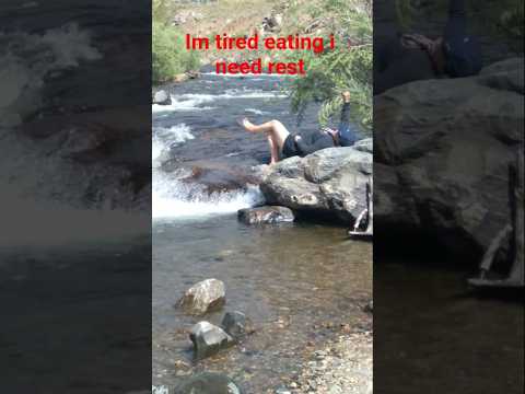 IM TIRED EATING I NEED REST#everyone #shortsfeed #funny #funnyvideo #river #crazylady #resting