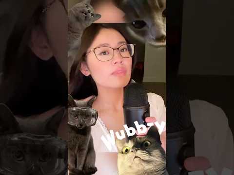 ASMR Show & Tell ~ Wubbzy Edition  #cats #asmr #meow