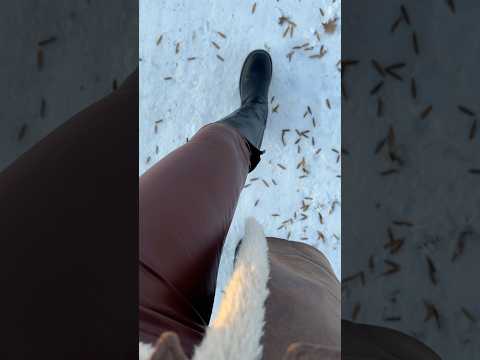ASMR spazieren gehen mit einer Kunstleder Leggings im Schnee. 🦅