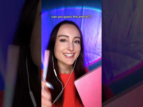 can you guess the animal word?? #asmr #guesstheword