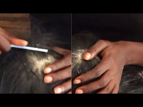 Asmr scratching my doll hair  | #dandruff #asmr #doll