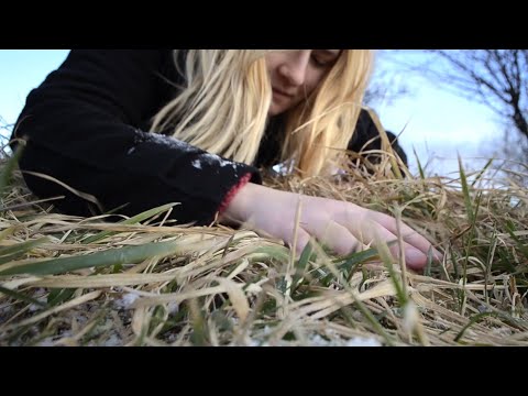 Nature ASMR -🌞 Freezing sunrise in the fields 🌞