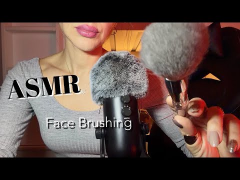 ASMR| SLOW FACE BRUSHING ✨ (Shhh Sound) 😴