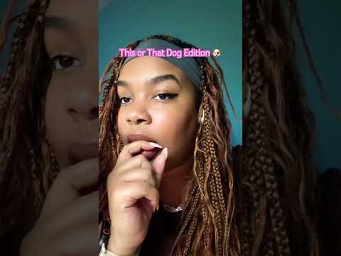 ♥️🐾 #shortscreator #shorts #asmr #relax #asmrsounds #asmrshorts #trending #sleep #dogvideos #yorkie