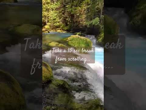 Can you take a 15 sec break from scrolling?