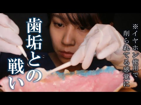 【ASMR】疑似体験!?歯医者来てたっけ!? 歯医者さんロールプレイ あなたの歯垢を除去しますSimulated experience toothpaste Roleplay【36min】