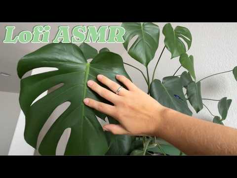 Short Nail Tapping Around the House (ASMR) ✨