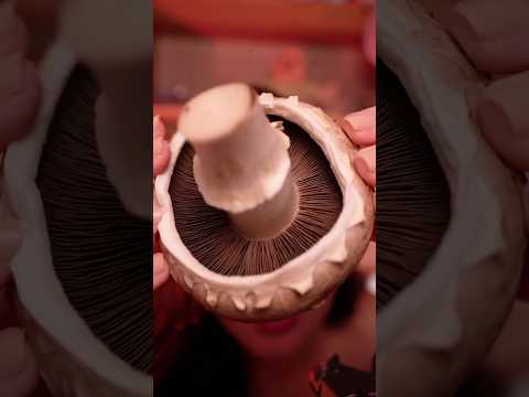 Cogumelo que dá sono #asmr #asmrsounds