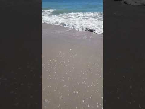 #relax #asmr Myrtle Beach Waves
