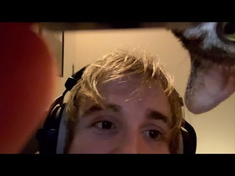 lofi asmr practice cat