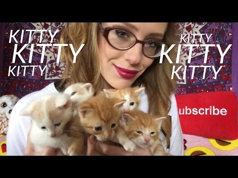 ASMR CHANNEL UPDATE (Soft Spoken & Purring)