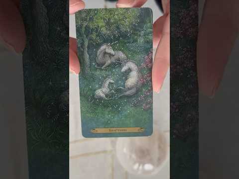 Bliss awaits #tarot #fortunetelling #asmr