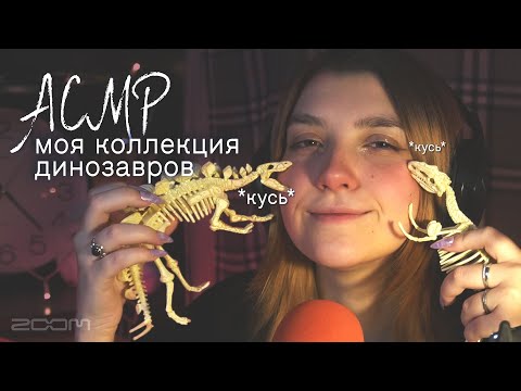 АСМР моя коллекция динозавров 🦖 // длинные ногти и постукивания по костям / tapping and dinosaurs