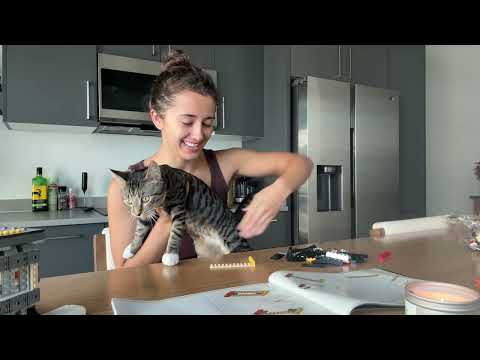 building a lego set & some chatting