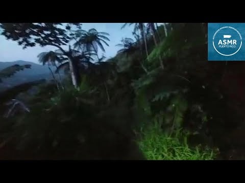 ASMR Puerto Rico: Walking in "Pico Rodadero" in Yauco, PR | ASMR Nature Sounds | ASMR Adventure