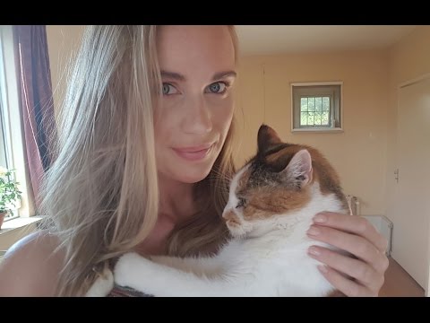 ASMR BE MY KITTY CAT roleplay (whisper/purring/brush/tapping)