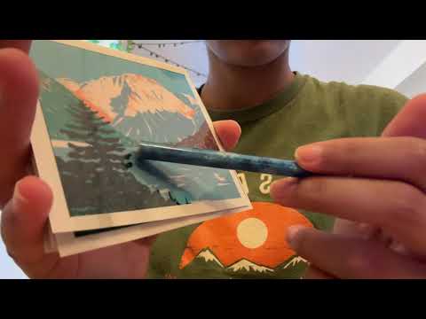 asmr helping you pick your vacation 🚢⛱️🏝️