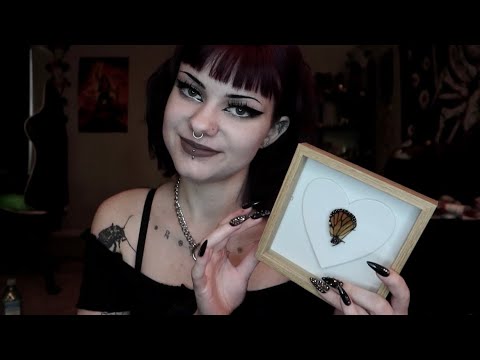 ASMR | Wood Tapping Triggers w/ Fake Nails 🪵