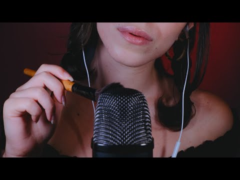 ASMR BRUSHING YOUR EARS😴 NO TALKING