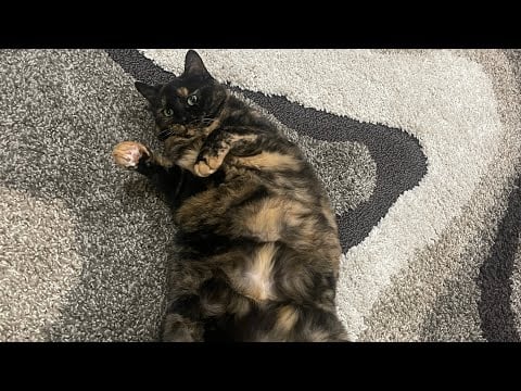 HeatherdoesASMR is live!