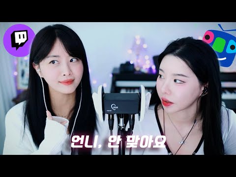 트위치  여캠 vs 아프리카 여캠 ASMR