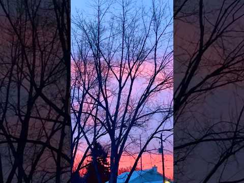 IT'S LIKE COTTON CANDY #shorts #shortsfeed #shortsvideo #naturesbeauty #nature #breathe #asmr