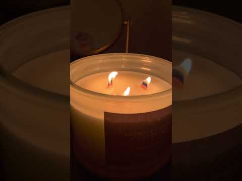 ASMR #shorts | Crackling Candle (wood wick sounds, visual trigger)