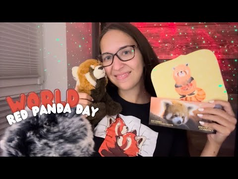 ASMR Red Panda Trigger Assortment 🐻❤️ (Fabric Scratching, Tapping, Fluffy Mic, Mouth Sounds)