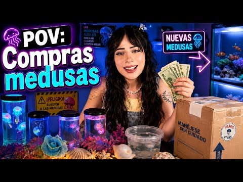 Pov: compras medusas exóticas #asmr #jellyfish #kids 