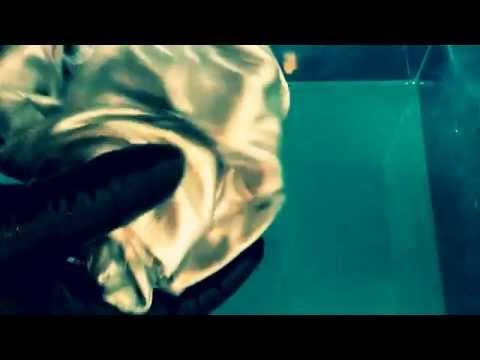 Baby Balloon takes his first bath , latex gloves [[ASMR]]