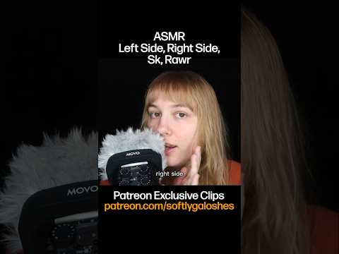 Do you remember these ASMR triggers from long ago? good ol left side, right side, sk, rawr 😊 #asmr