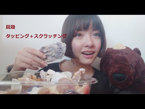 【音フェチ】貝殻のタッピングとスクラッチング🐚✨