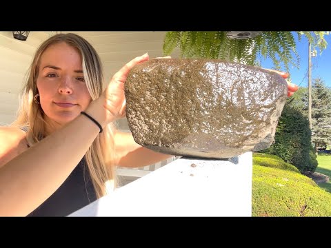 ASMR Giving A Rock A Massage 🪨