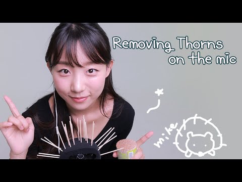 ASMR 🌵 Removing Thorns on the mic 👂 마이크에 박힌 가시 제거 😵