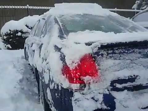 DENVER COLORADO SNOW STORM 2020:Igorot  in Denver Colorado