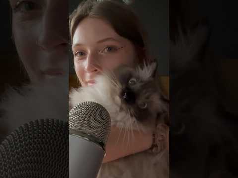 Just a little kitty ASMR 🐱💗