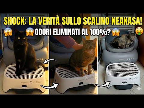 Recensione NEAKASA: Unboxing Scalino Niente più Odori e Sabbia? 🫧 ASMR ITA con i miei Gatti