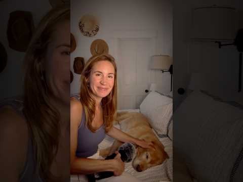 Doggy ASMR ☺️🦮💗