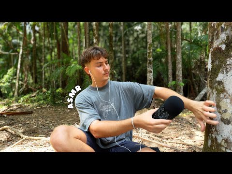 ASMR by the Creek 🍃 Peaceful Nature Sounds to Help You Sleep