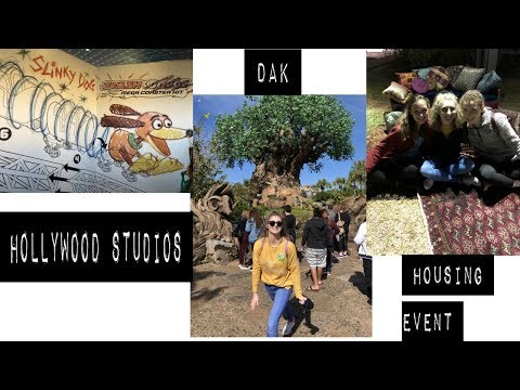 hollywood studios, dak, housing event // dcp spring 2019