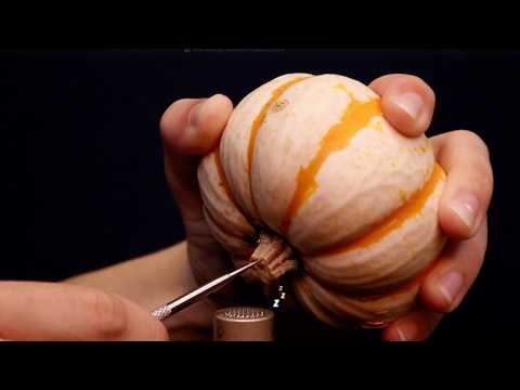 Spooky ASMR Pumpkin Tapping 🎃