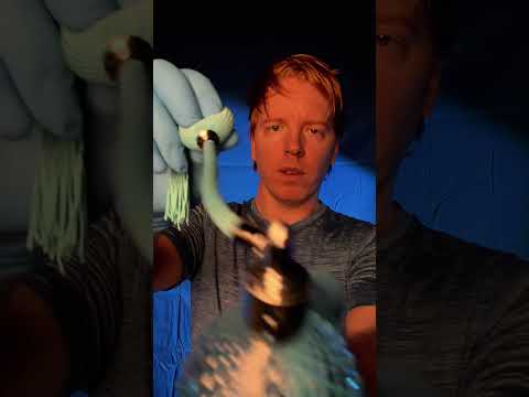 ASMR Doctor Exam #asmr
