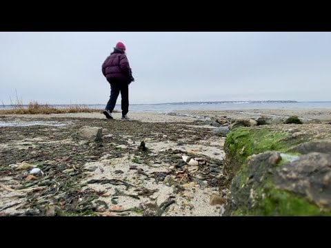 ASMR cute, cozy and cold walk🌬️❄️🩵